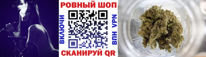  COCAIN Терек