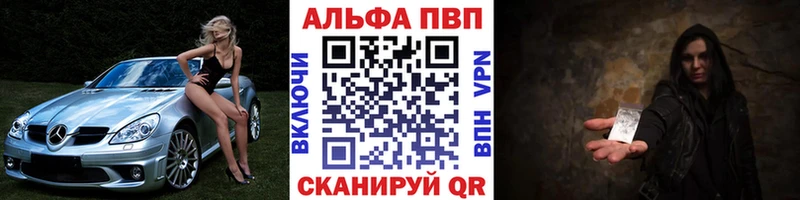 Alfa_PVP СК КРИС Терек