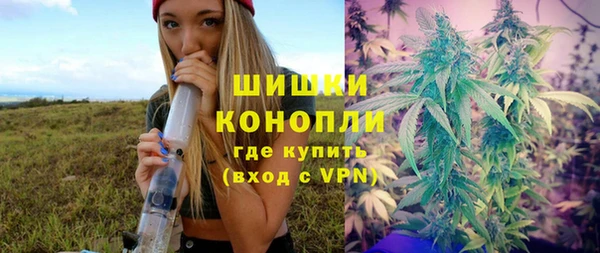 хмурый Лиски