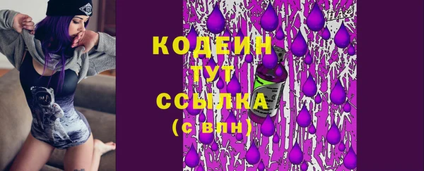 хмурый Лиски