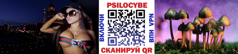 как найти   Терек  MEGA зеркало  Псилоцибиновые грибы Psilocybe 